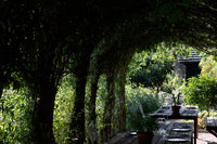 Le Clos des Sens - Chambre Nature